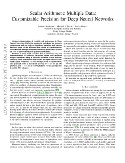 Scalar Arithmetic Multiple Data: Customizable Precision for Deep Neural
  Networks