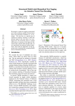 Structured Multi-Label Biomedical Text Tagging via Attentive Neural Tree
  Decoding