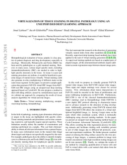 Virtualization of tissue staining in digital pathology using an
  unsupervised deep learning approach