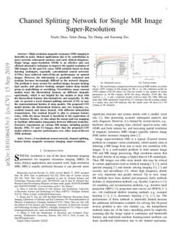 Channel Splitting Network for Single MR Image Super-Resolution