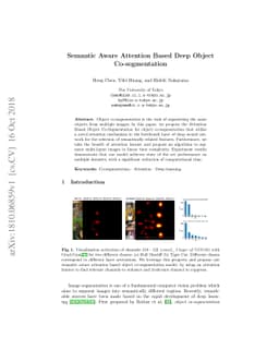 Semantic Aware Attention Based Deep Object Co-segmentation