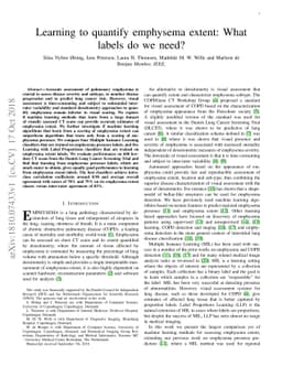 Learning to quantify emphysema extent: What labels do we need?