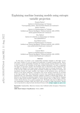 Explaining Machine Learning Models using Entropic Variable Projection