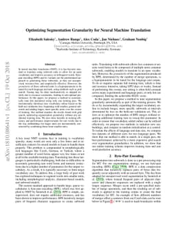 Optimizing Segmentation Granularity for Neural Machine Translation