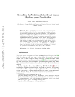 Hierarchical ResNeXt Models for Breast Cancer Histology Image
  Classification