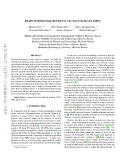Brain Tumor Image Retrieval via Multitask Learning