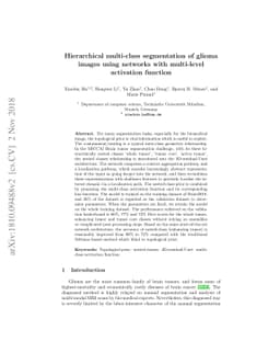Hierarchical multi-class segmentation of glioma images using networks
  with multi-level activation function
