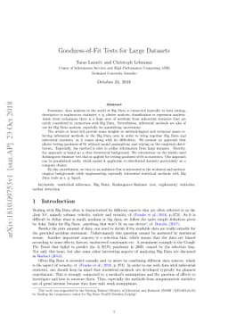 Goodness-of-Fit Tests for Large Datasets
