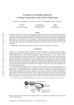 Compressive Sampling Approach for Image Acquisition with Lensless
  Endoscope