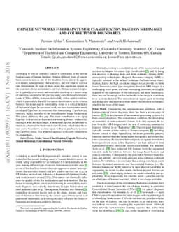 Capsule Networks for Brain Tumor Classification based on MRI Images and
  Course Tumor Boundaries