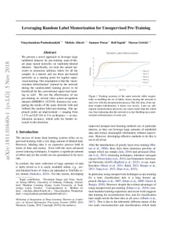 Leveraging Random Label Memorization for Unsupervised Pre-Training