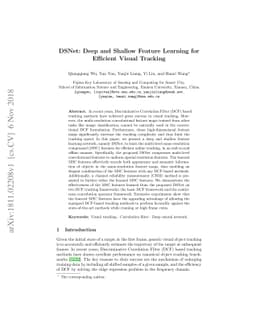 DSNet: Deep and Shallow Feature Learning for Efficient Visual Tracking