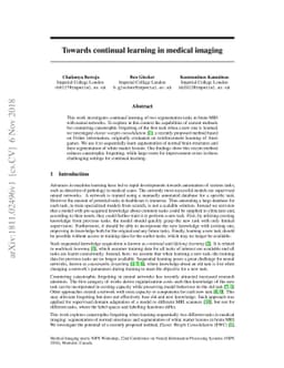 Towards continual learning in medical imaging