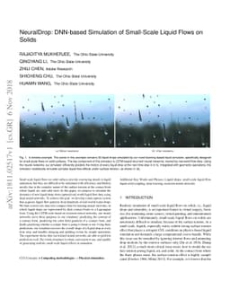NeuralDrop: DNN-based Simulation of Small-Scale Liquid Flows on Solids