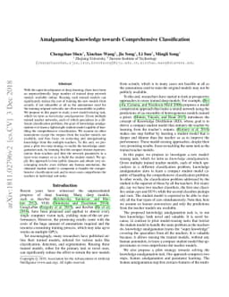 Amalgamating Knowledge towards Comprehensive Classification
