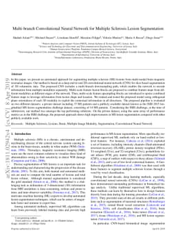 Multi-branch Convolutional Neural Network for Multiple Sclerosis Lesion
  Segmentation