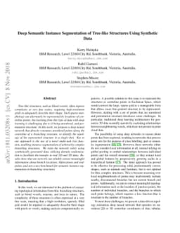 Deep Semantic Instance Segmentation of Tree-like Structures Using
  Synthetic Data