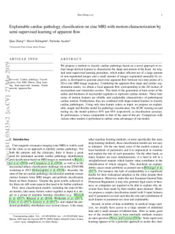 Explainable cardiac pathology classification on cine MRI with motion
  characterization by semi-supervised learning of apparent flow