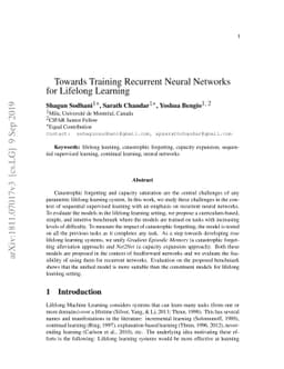 Towards Training Recurrent Neural Networks for Lifelong Learning