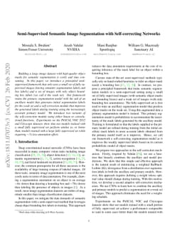 Semi-Supervised Semantic Image Segmentation with Self-correcting
  Networks