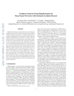 Gradient-Coherent Strong Regularization for Deep Neural Networks