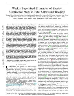 Weakly Supervised Estimation of Shadow Confidence Maps in Fetal
  Ultrasound Imaging