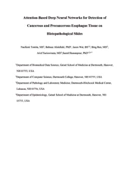 Attention-Based Deep Neural Networks for Detection of Cancerous and
  Precancerous Esophagus Tissue on Histopathological Slides