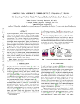 Learning from Multiview Correlations in Open-Domain Videos