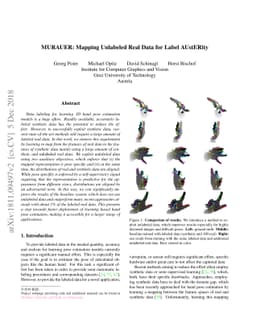 MURAUER: Mapping Unlabeled Real Data for Label AUstERity