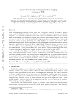 An overview of deep learning in medical imaging focusing on MRI