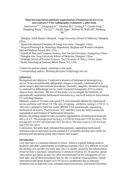 Deep learning based automatic segmentation of lumbosacral nerves on
  non-contrast CT for radiographic evaluation: a pilot study