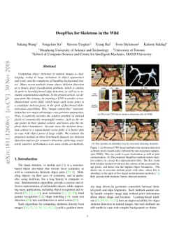 DeepFlux for Skeletons in the Wild