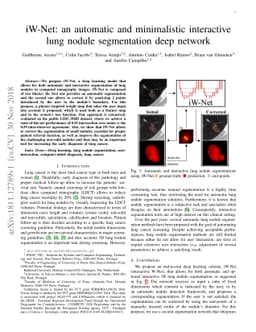 iW-Net: an automatic and minimalistic interactive lung nodule
  segmentation deep network