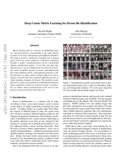 Deep Cosine Metric Learning for Person Re-Identification