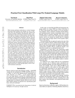 Practical Text Classification With Large Pre-Trained Language Models
