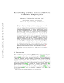 Understanding Individual Decisions of CNNs via Contrastive
  Backpropagation