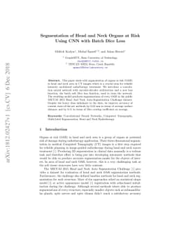 Segmentation of Head and Neck Organs at Risk Using CNN with Batch Dice
  Loss