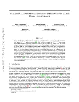 Variational Saccading: Efficient Inference for Large Resolution Images