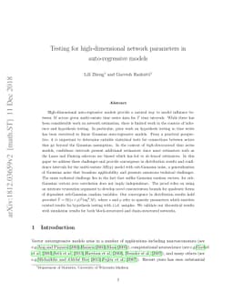 Testing for high-dimensional network parameters in auto-regressive
  models