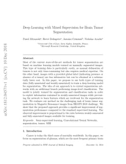 Deep Learning with Mixed Supervision for Brain Tumor Segmentation