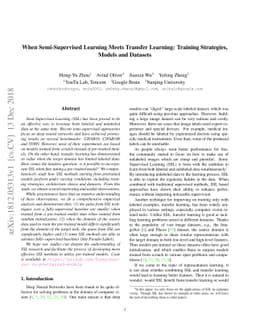 When Semi-Supervised Learning Meets Transfer Learning: Training
  Strategies, Models and Datasets