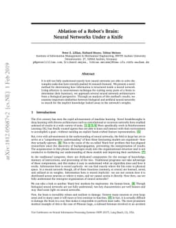 Ablation of a Robot's Brain: Neural Networks Under a Knife
