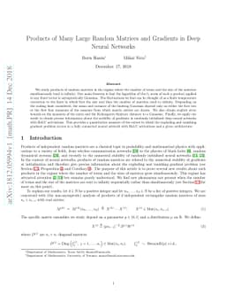 Products of Many Large Random Matrices and Gradients in Deep Neural
  Networks