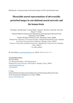 Dissociable neural representations of adversarially perturbed images in
  convolutional neural networks and the human brain