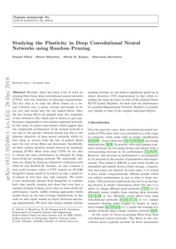 Studying the Plasticity in Deep Convolutional Neural Networks using
  Random Pruning