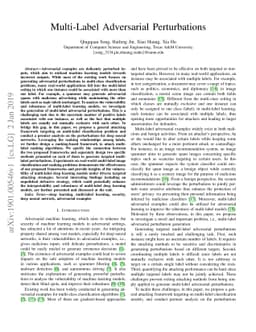 Multi-Label Adversarial Perturbations