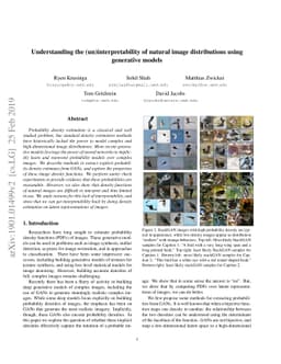 Understanding the (un)interpretability of natural image distributions
  using generative models