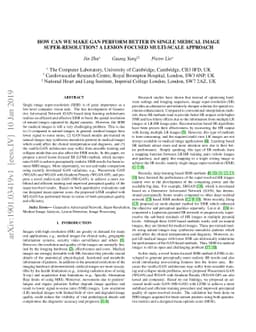 How Can We Make GAN Perform Better in Single Medical Image
  Super-Resolution? A Lesion Focused Multi-Scale Approach