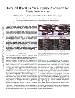 Technical Report on Visual Quality Assessment for Frame Interpolation