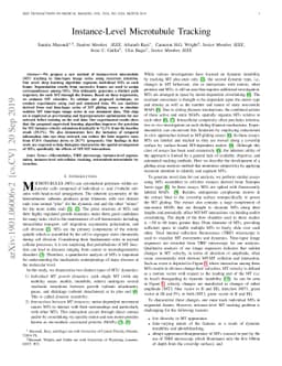 Instance-Level Microtubule Tracking